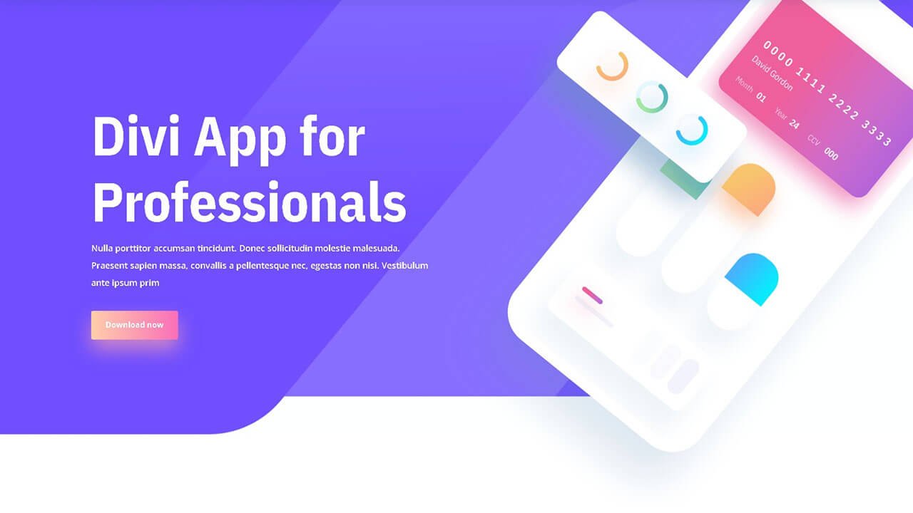 web-developer-15